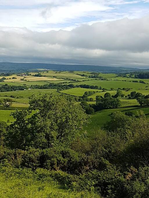 The view from our rock field