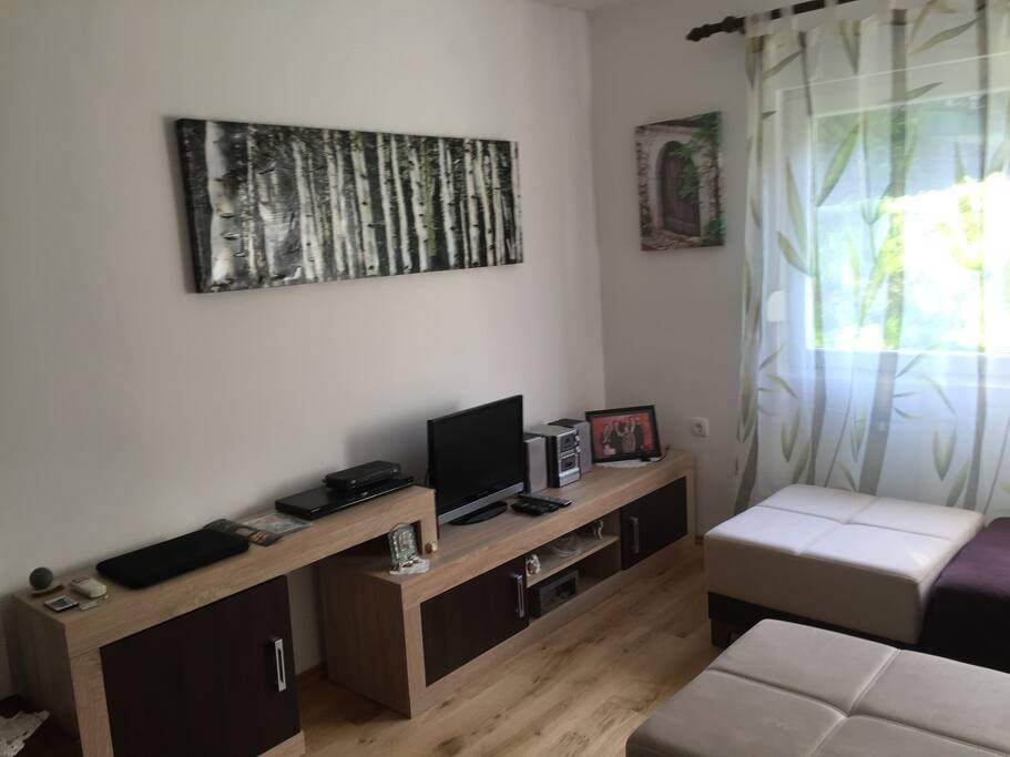 Pleasant living room with everything you need, wifi, cable tv, hi fi