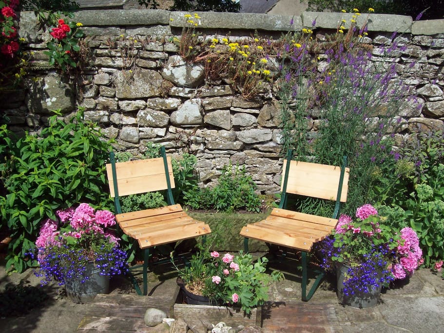 Back garden