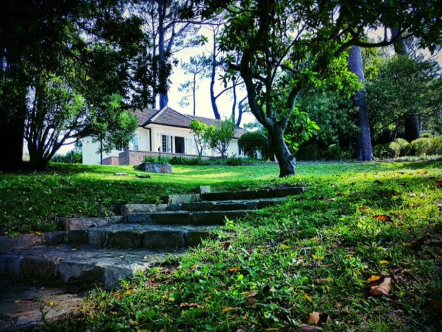 The cottage