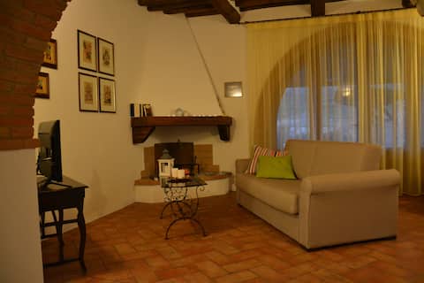 Airbnb con migliori performance: OLIVE TREE APARTMENT - CHIANTI a Poggibonsi