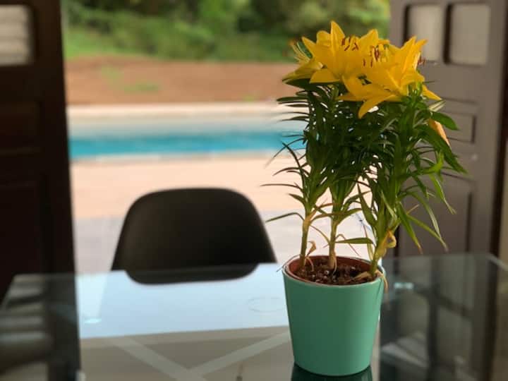 Дневна соба