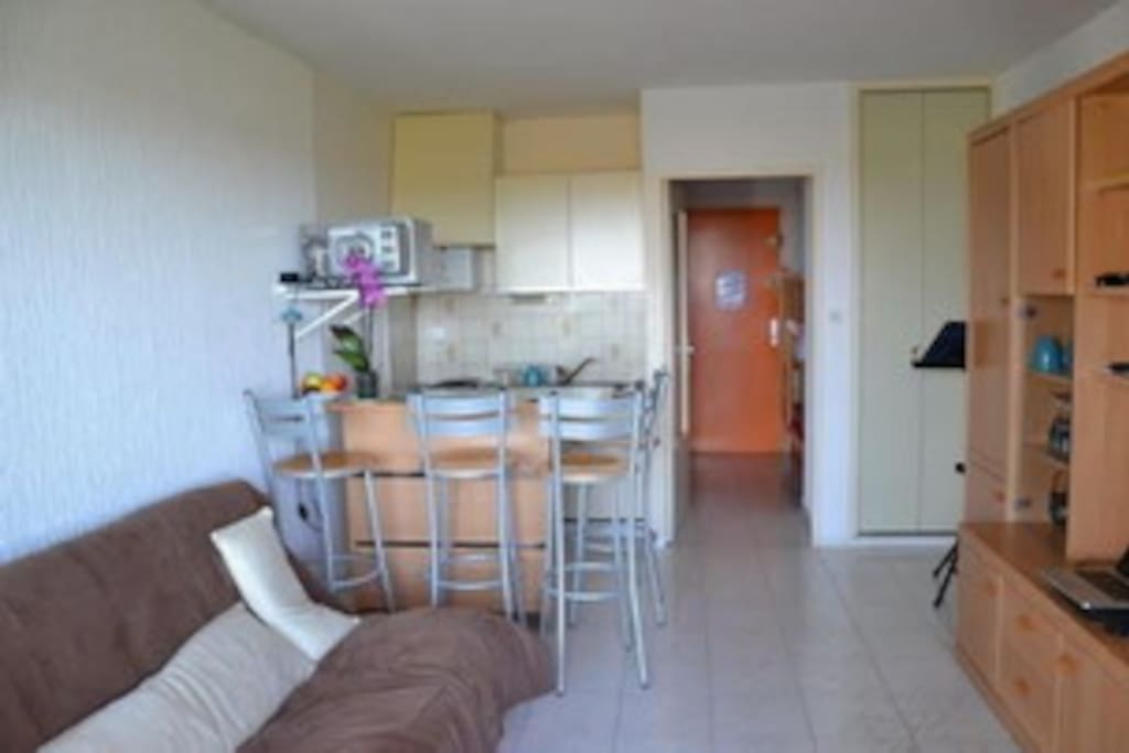 Sofa lit et coin cuisine. Frigidaire, micro-ondes four, cafeiere, toaster, etc inclus