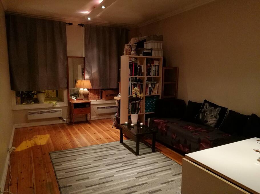 The room for rent with sleeping sofa