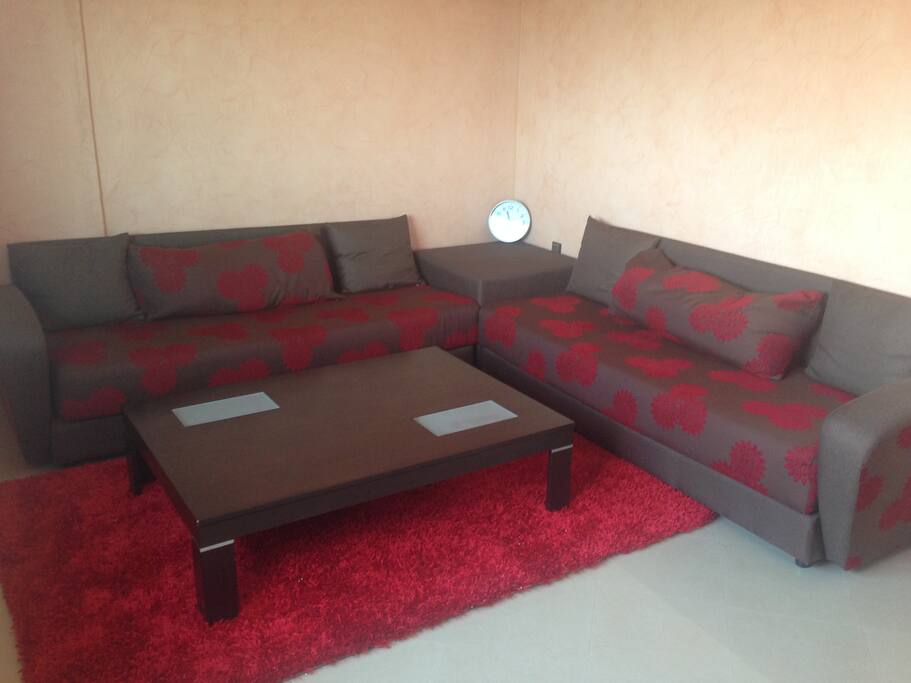 Grand Salon climatisé et équipé: 2 canapés 1 table basse une télé écran plat 1 lecteur DVD