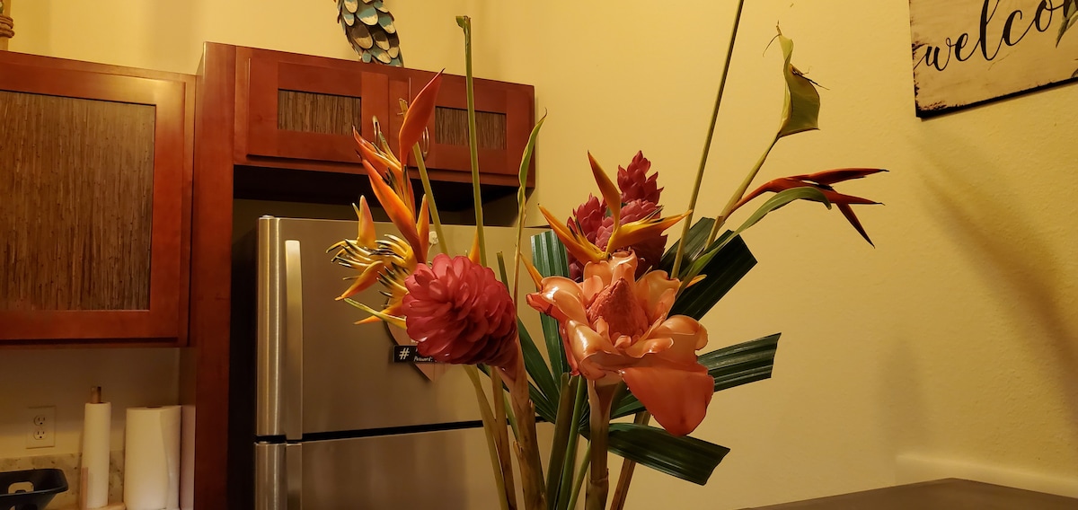 🥥Oceanfront in beautiful Coconut Coast#paradise🌞 – Photo 3