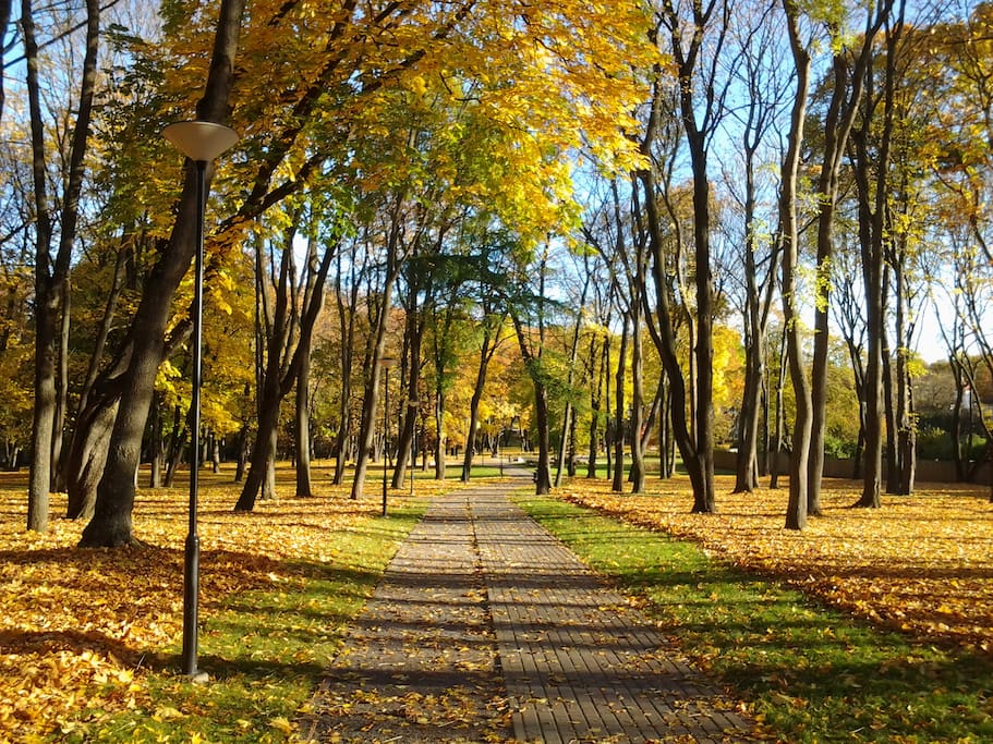 Kalamaja Park