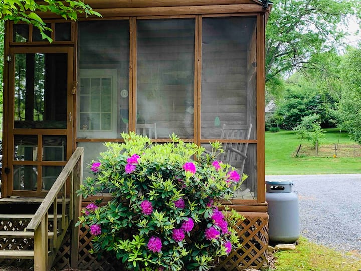 Brown Trout - Creekside Cabins - Bryson City, NC