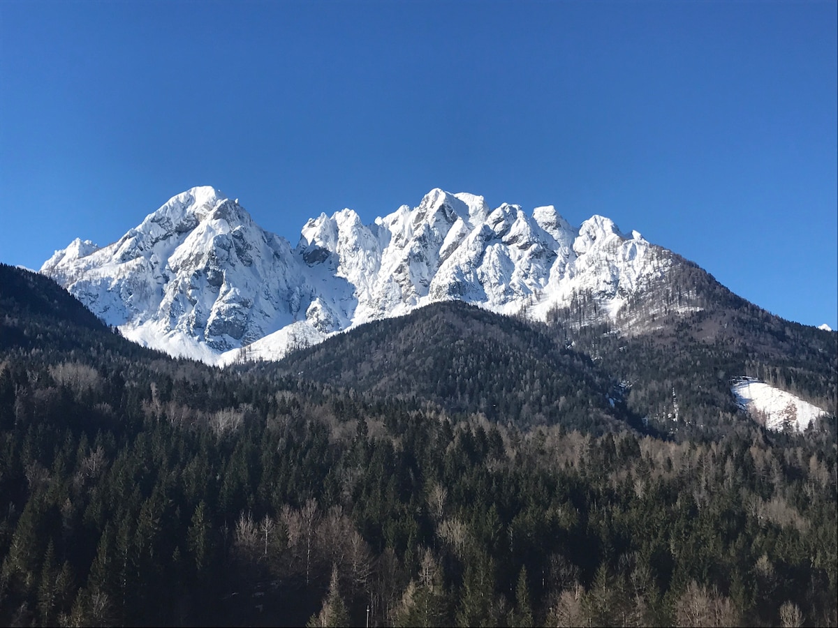 A breathtaking mountain range is captured, featuring snow-capped peaks under a clear blue sky. The foreground displays a rich expanse of evergreen trees, creating a striking contrast against the white summits, highlighting the natural beauty of the surrounding landscape.