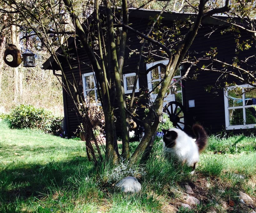 Sommerdag i haven.