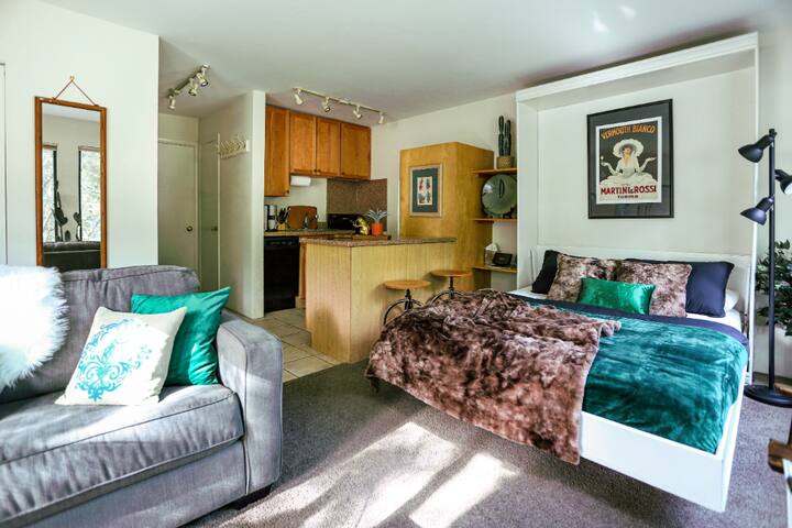 Pristine, Central & Cozy Aspen Studio