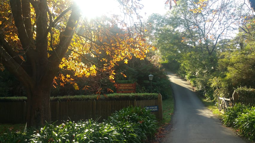 The Great Ocean Road Cottages Lorne Cottage 1 Cottages For Rent