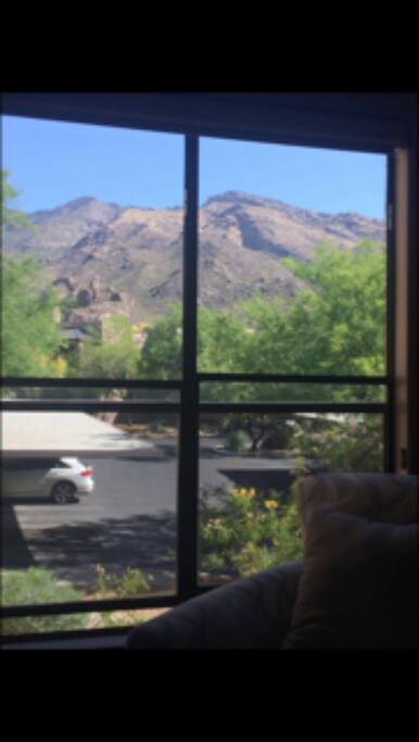 View From Living Room