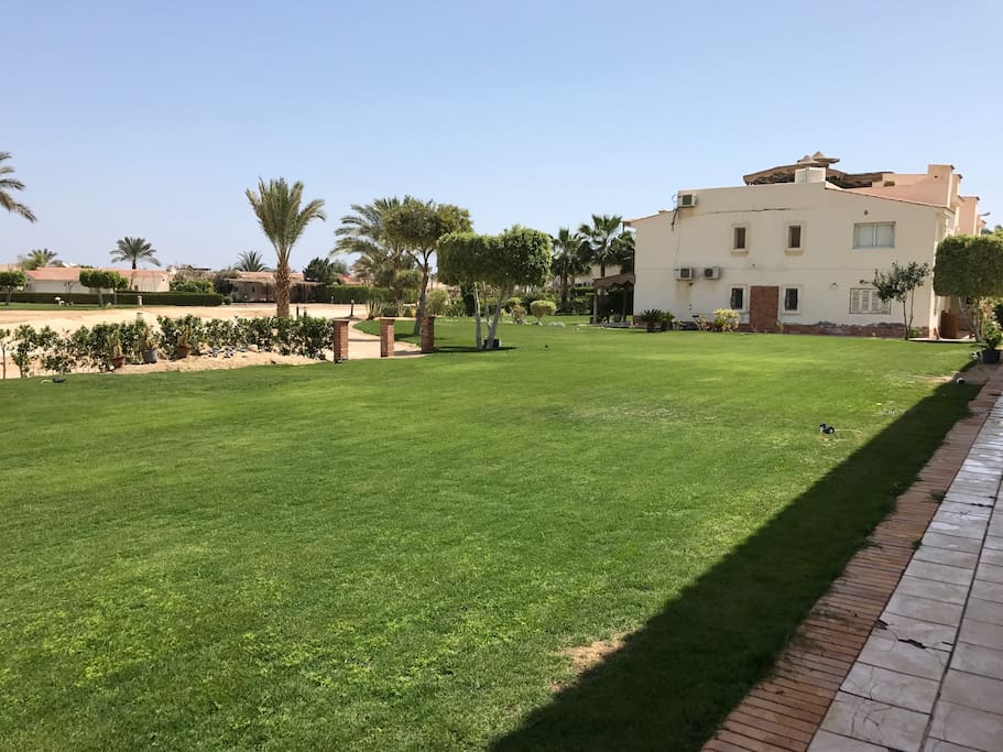 Big garden