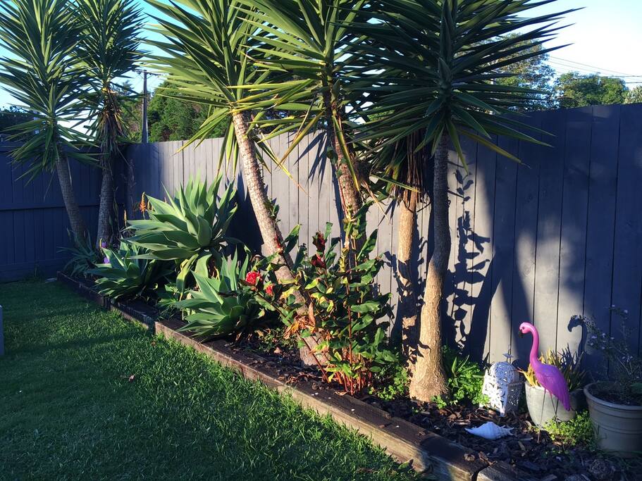 garden