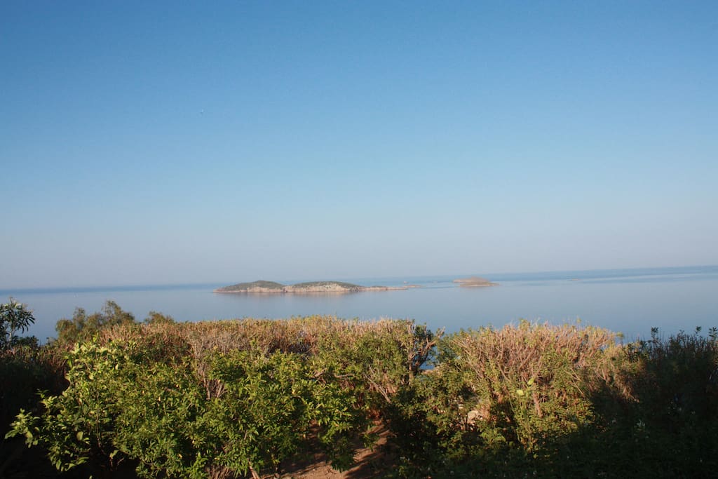 view from the house