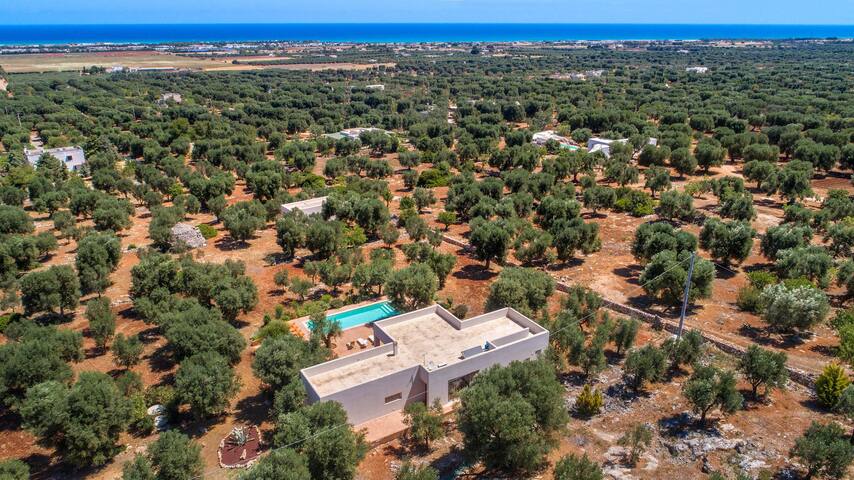 Villa Lisy by Perle di Puglia gallery image 4