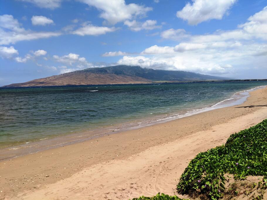 View of Maui Mtns.