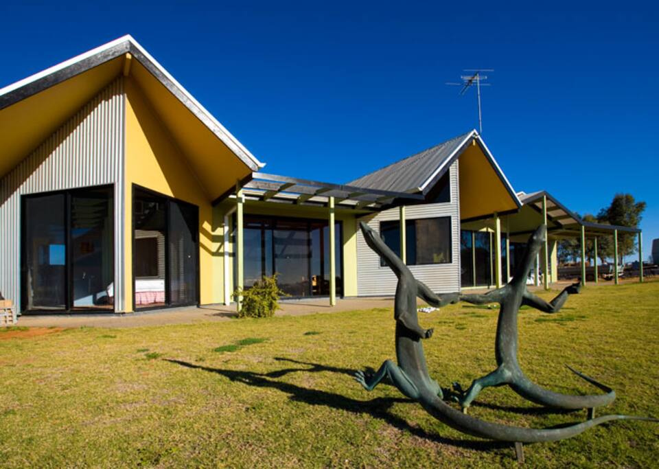 The joy of the dancing goannas on the front lawn
