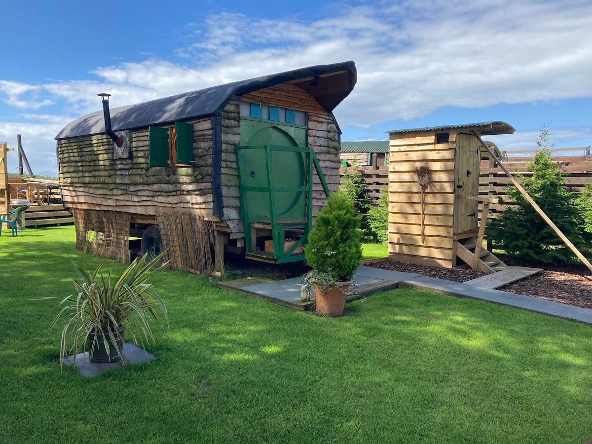 Book Shepherds Hut Spa accommodation at Glampio Gelli Glamping