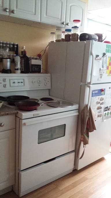 Kitchen includes large fridge, full stove+oven along with pots and pans
