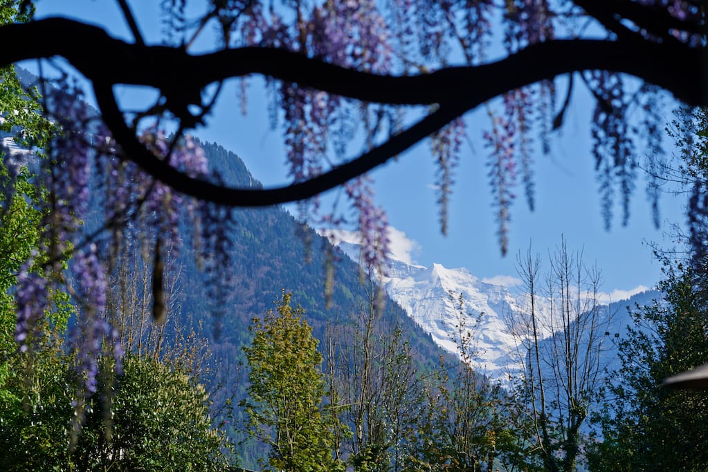Jungfrau view from the room and balcony