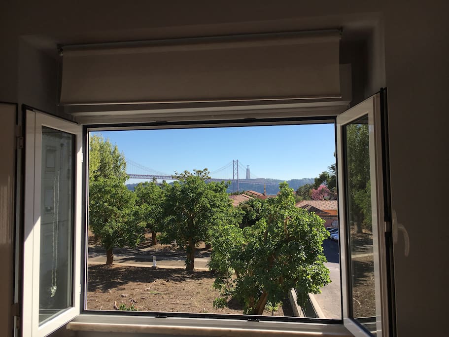 View from Room 1