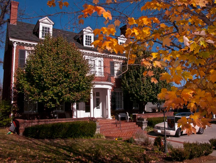 Historic Mansion In Old Southwest. - Roanoke