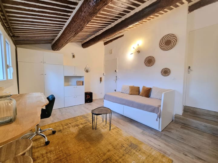 Studio Lumineux Et Climatisé Centre Historique - エクサン・プロバンス