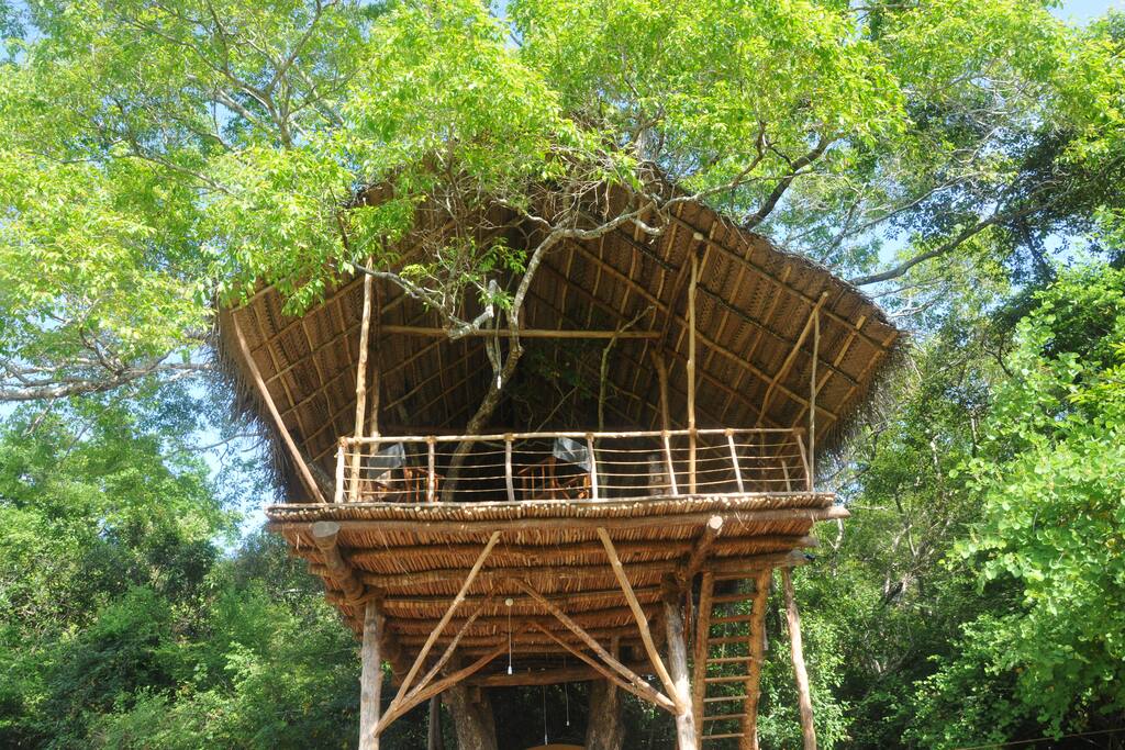 Tree house