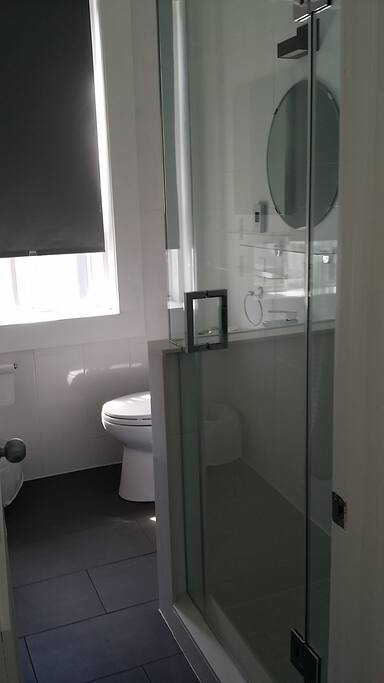 Beautiful glass enclosed shower