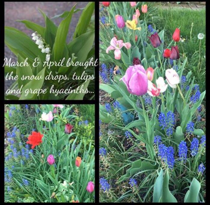 ...(just a FEW flowers...)