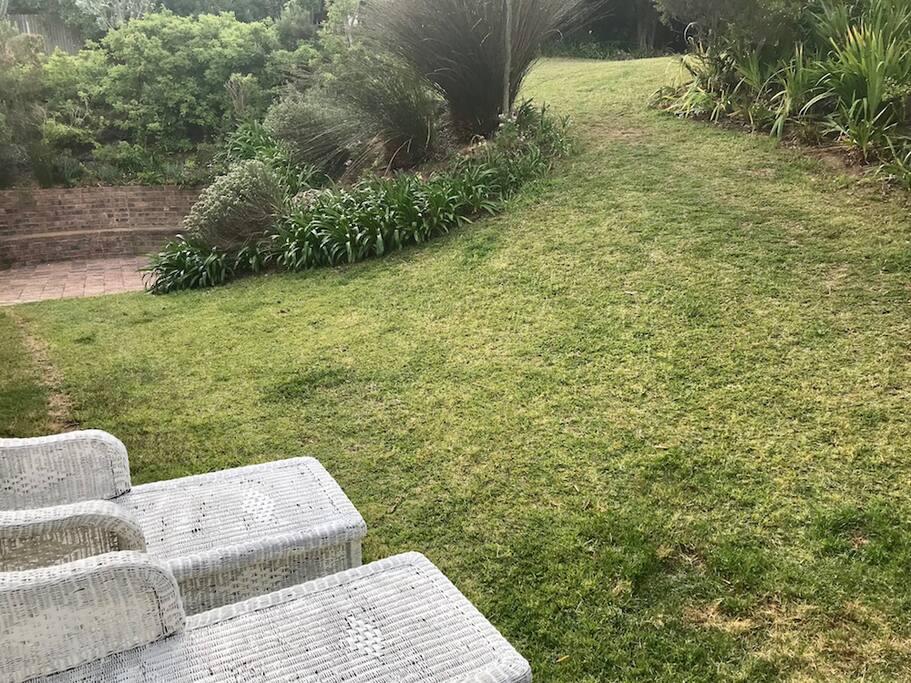 Garden with loungers