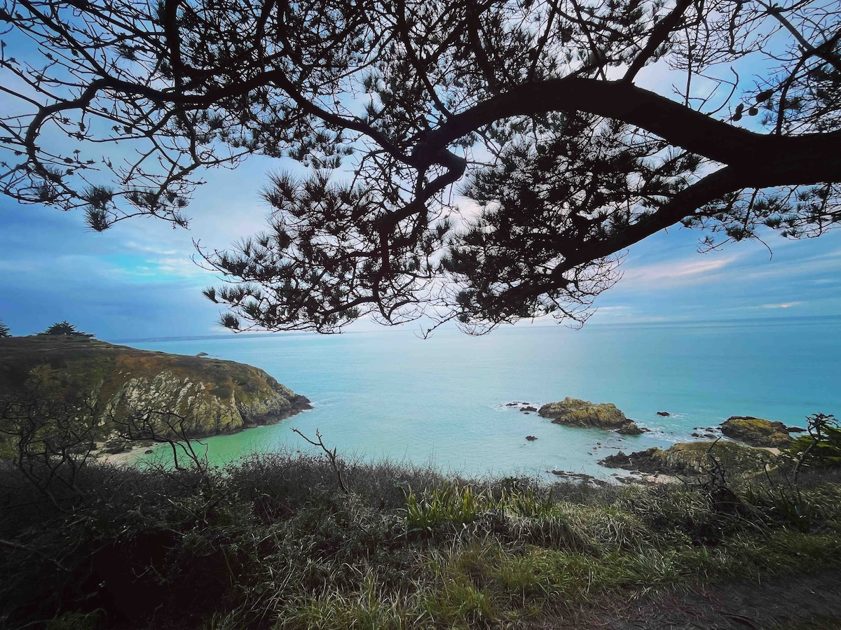 A serene coastal landscape is framed by the branches of a tree, revealing a calm sea with gentle waves lapping at rocky outcrops. The water reflects soft hues of blue, blending harmoniously with the sky, while greenery lines the foreground.