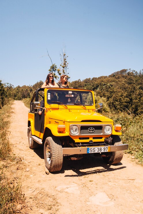 Show full-screen, host-provided image