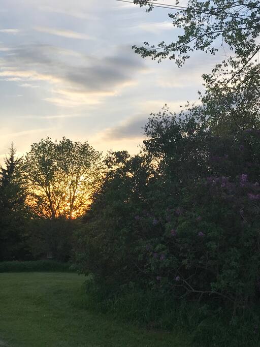 Sunset side yard