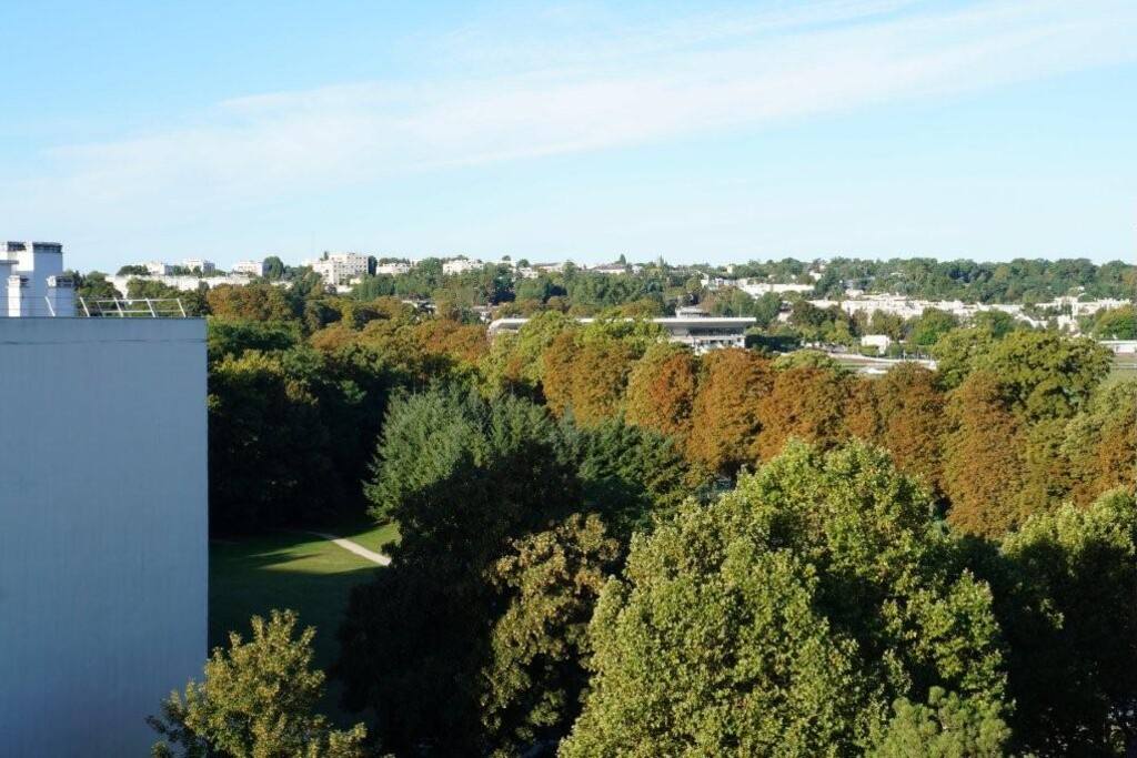 View from the tarrace