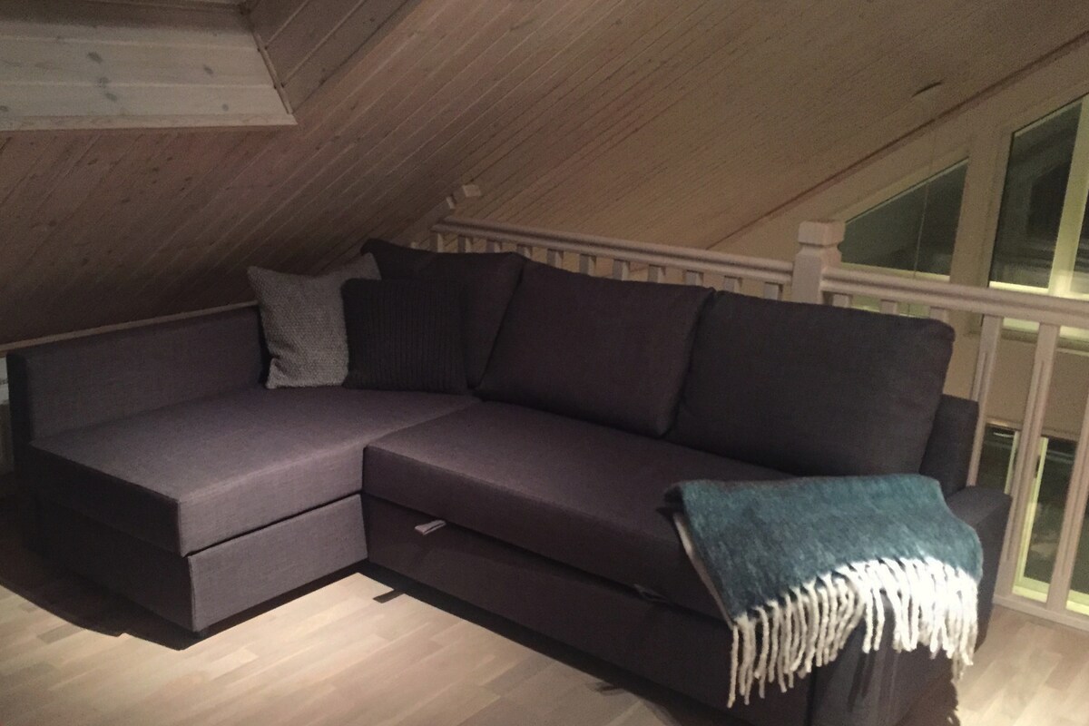 带沙发床的电视房（ 140厘米）