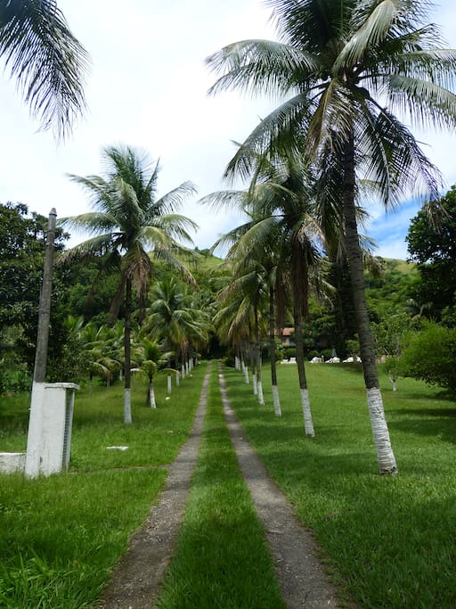 Rampa de acesso a casa