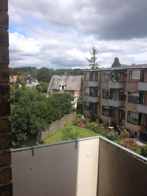 View from the bedroom