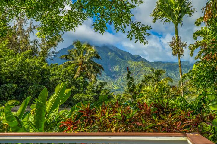 Perfect Hanalei location & great views TVNCU#1106 gallery image 5