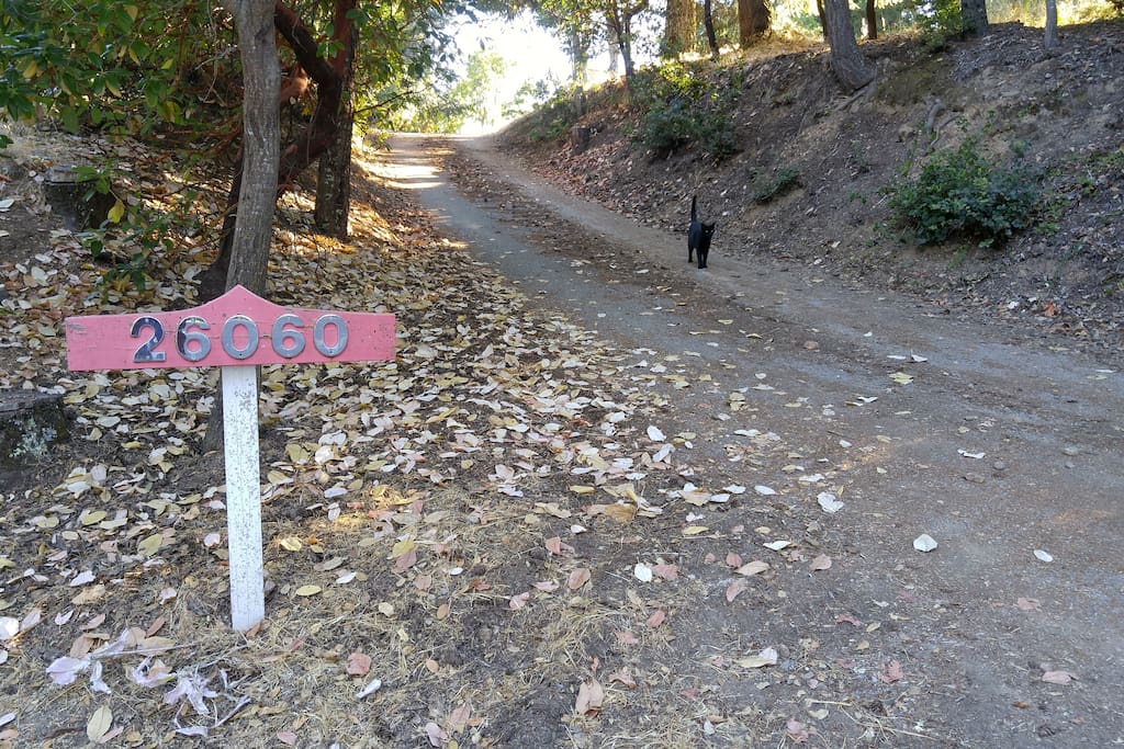 This is the driveway you're looking for. With a guest appearance by Charcoal the cat.