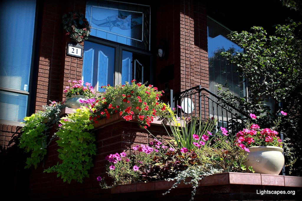 Welcome! In the summer & fall, the home looks incredible! (Sept 2016)