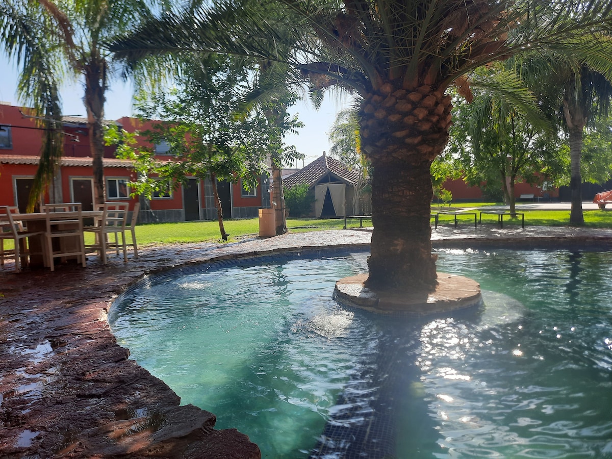 A palm tree rises from the center of a circular pool, surrounded by lush greenery. Sunlight filters through the leaves, creating a natural play of light. Lounge chairs and a small shaded area can be seen in the background, contributing to a relaxing outdoor setting.