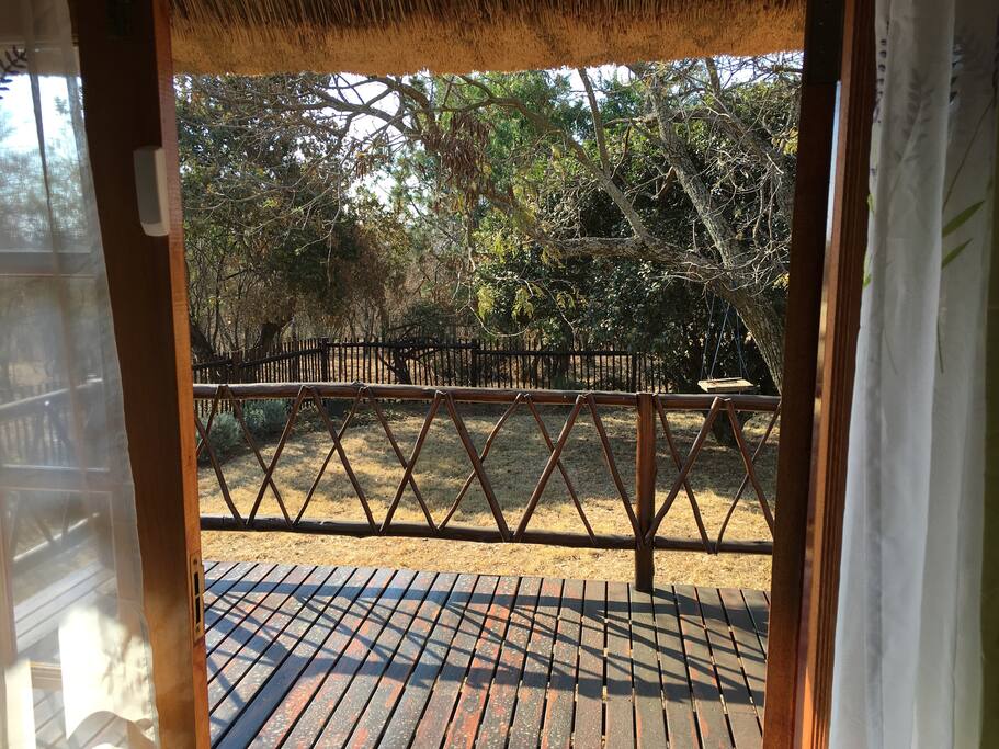 View from Bedroom