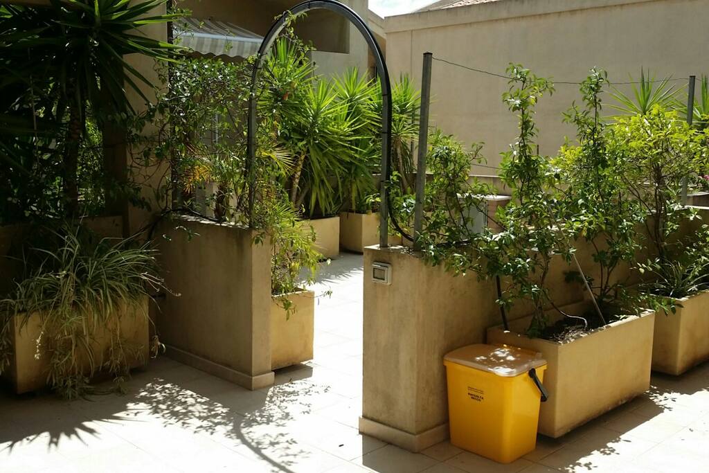 ingresso veranda