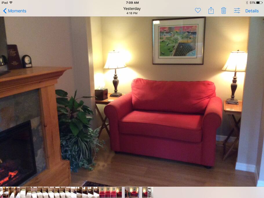 Love seat sofa bed