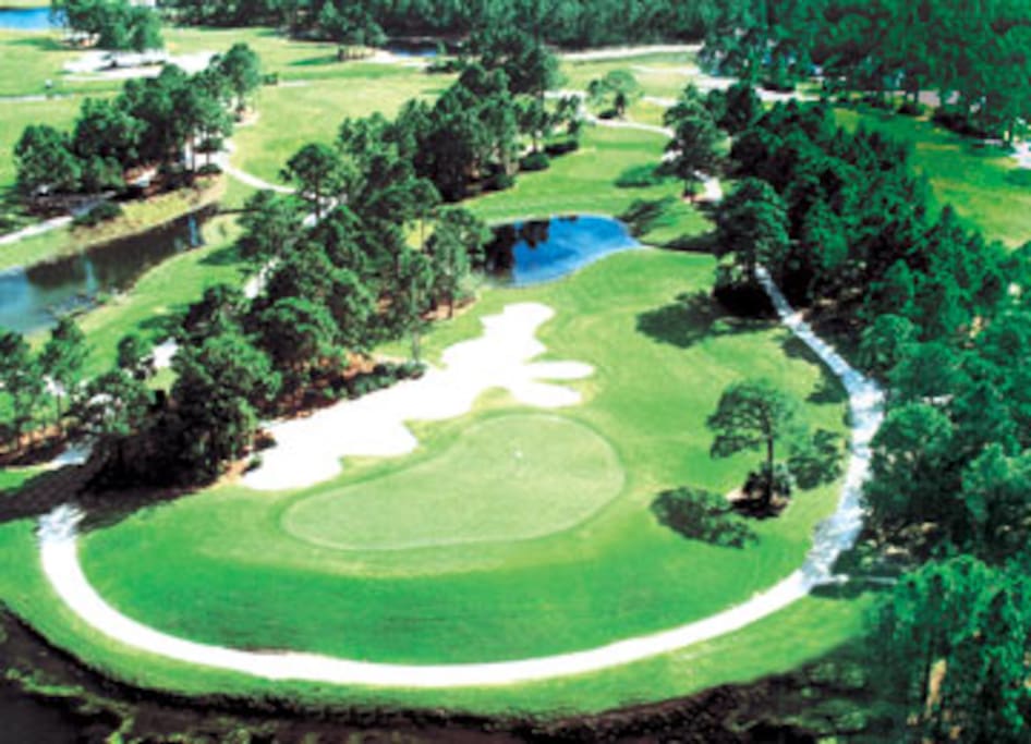 Golfing