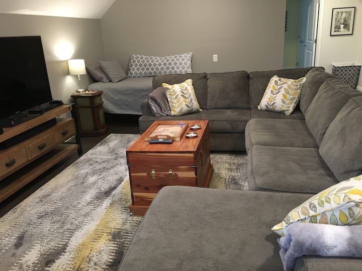 Upstairs bonus room with TV and movies.