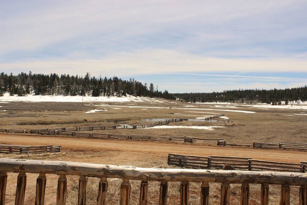 Duck Creek Meadow